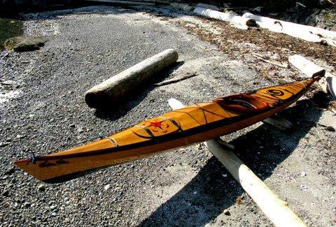 Solace 16EX resting on a log