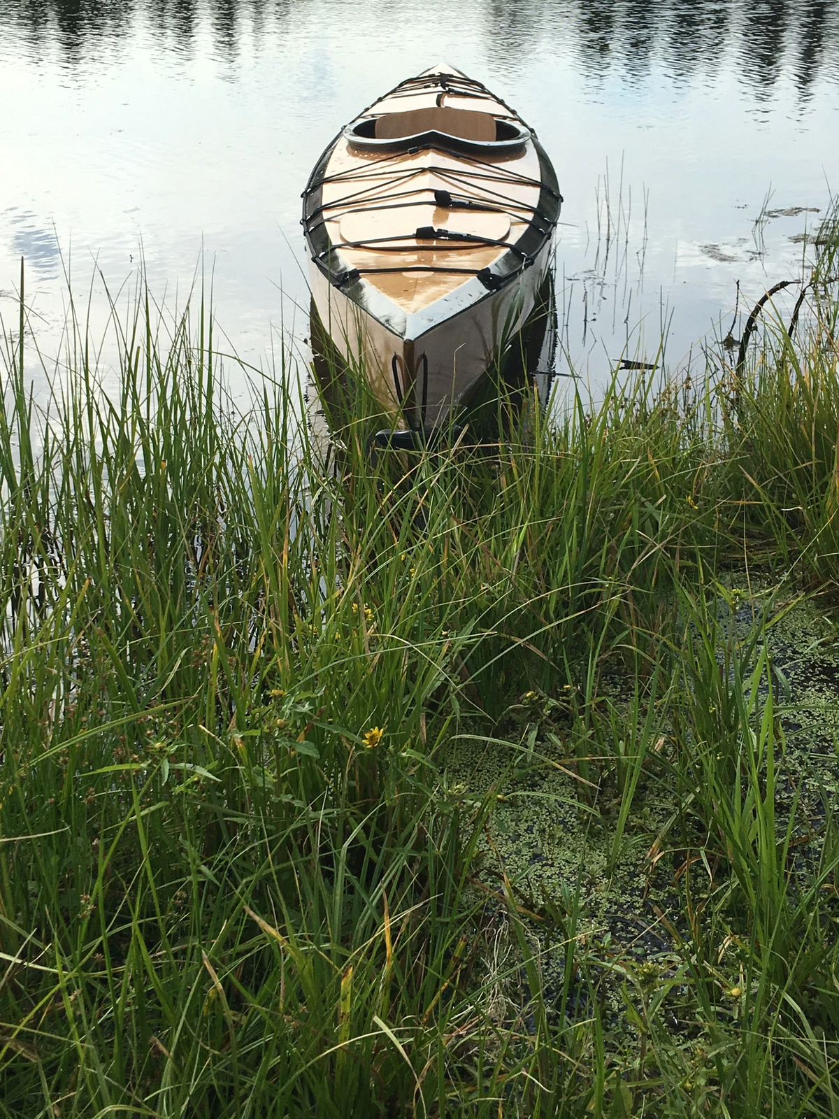 Lightning 14 in a lake